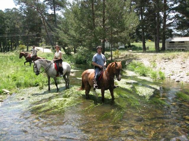 Rutas a caballo en Mallorca.JPG